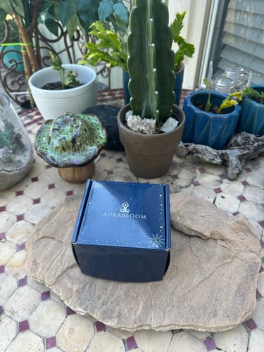 Customer photo review of VIP Crystal Club ~ Monthly Crystal Tester