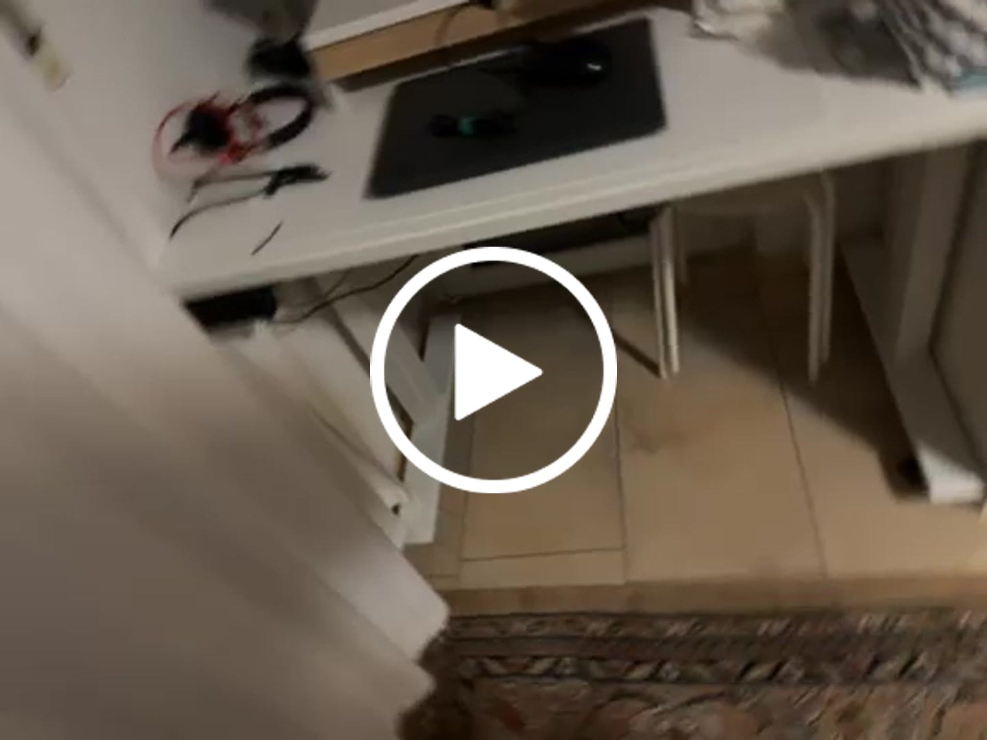 Customer video review of Maidesite T1 Pro - Elektrisch Höhenverstellbarer Gestell