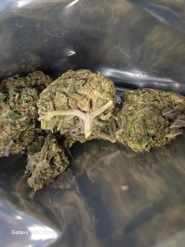 Customer photo review of Dealer's Choice