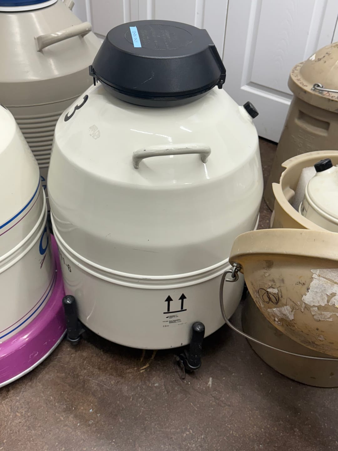 Customer photo review of MVE XC 47/11-6 with Roller Base - Includes Shipping