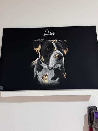 Customer photo review of Gold Pawtrait