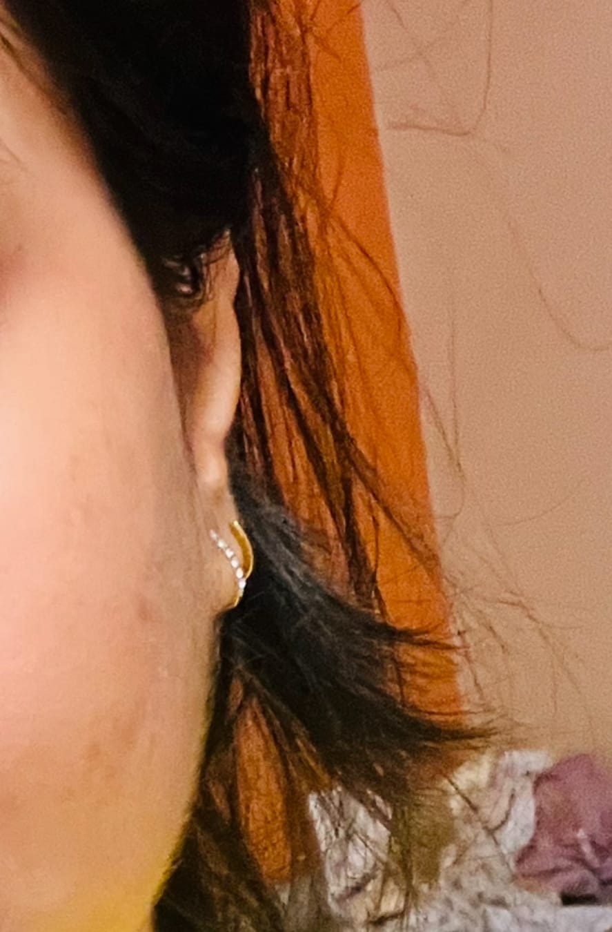 Customer photo review of Crystal Curve Earrings