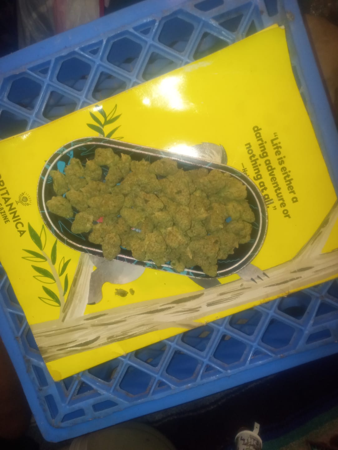 Customer photo review of Wedding Cake - Greenhouse THCA (Smalls)