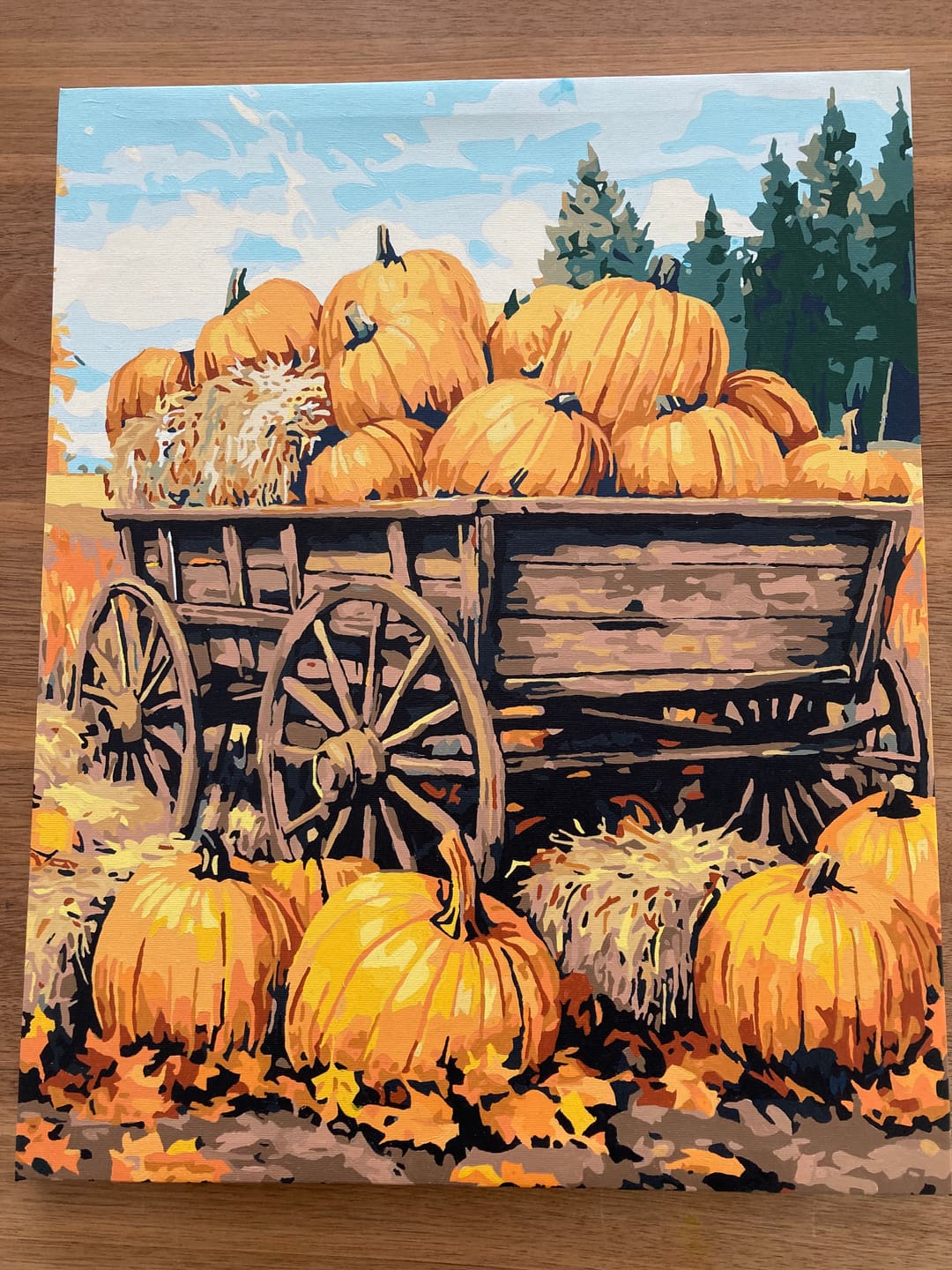 Customer photo review of Pumpkin Wagon