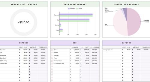 Customer photo review of Ultimate Budget Planner