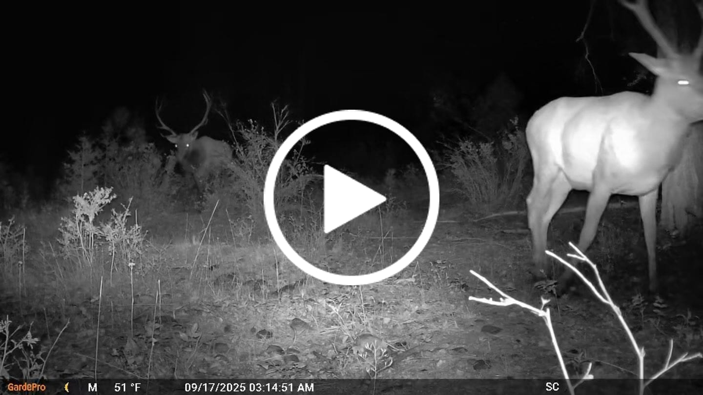 Customer video review of GardePro X66 Pro Cellular Trail Camera