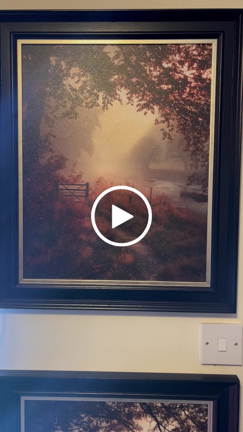 Customer video review of Falling Light I By M.Torelli