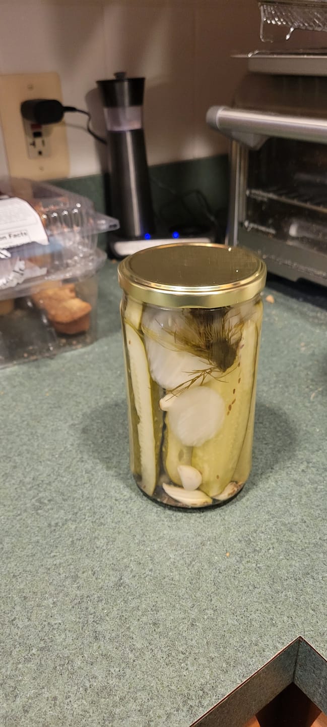Customer photo review of Old Fashioned Dill Pickles | Rachel’s Texas Kitchen