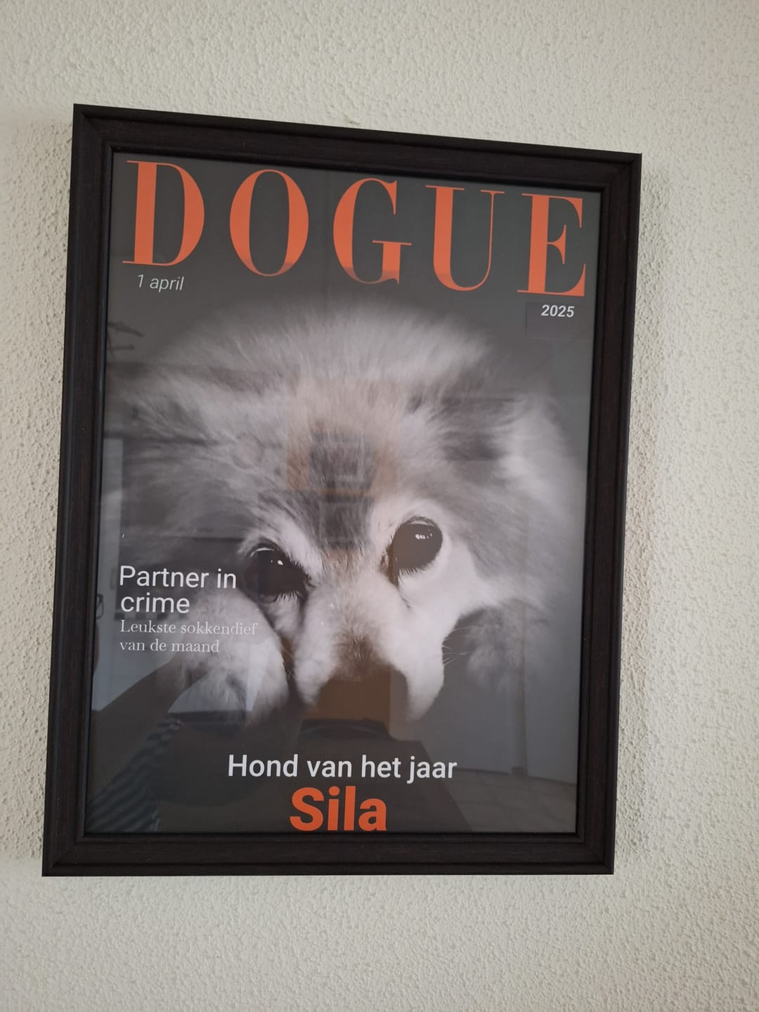 Customer photo review of Dogue - Gepersonaliseerde Poster