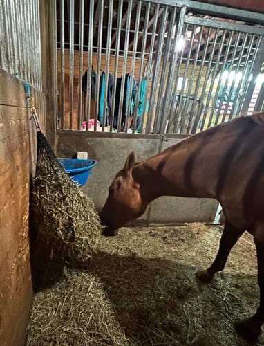 Customer photo review of 4 For $100 Deal