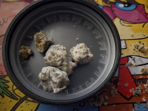 Customer photo review of Snowballs