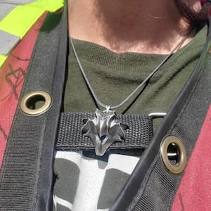 Customer photo review of Griffin School Pendant