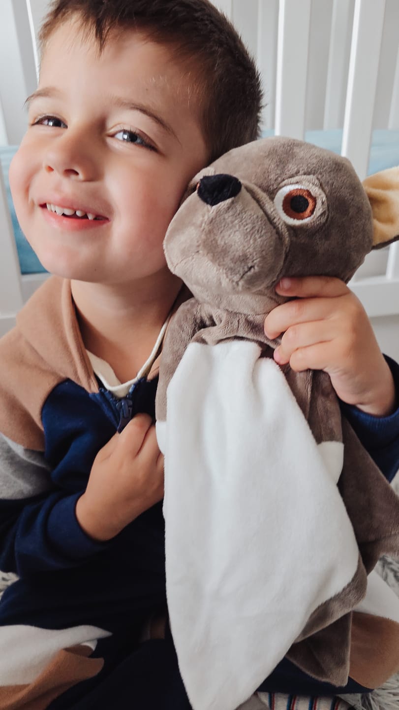 Customer photo review of Billy the French Bulldog