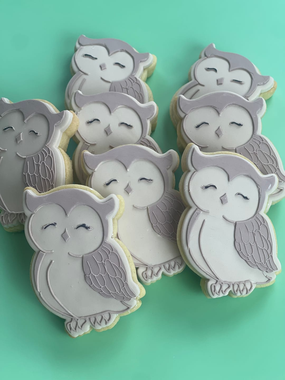 Customer photo review of Owl Woodland Animal Cutter and Fondant Debosser