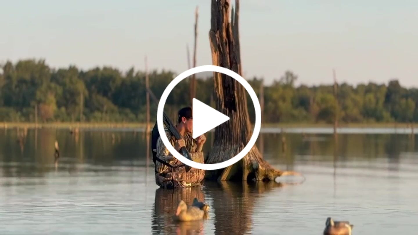 Customer video review of Short Fuse Goose Call