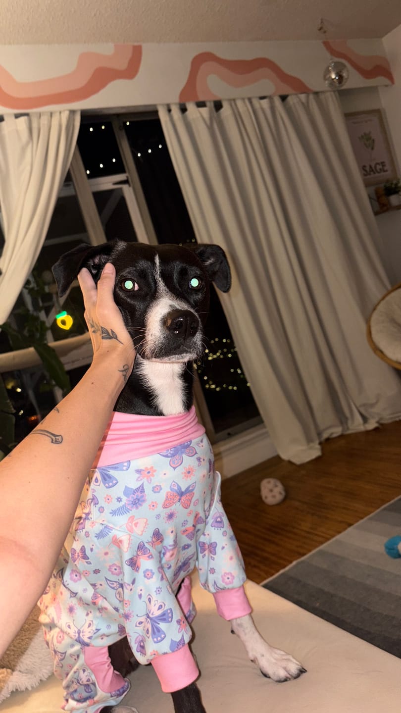 Customer photo review of Dog Pajama - Butterfly