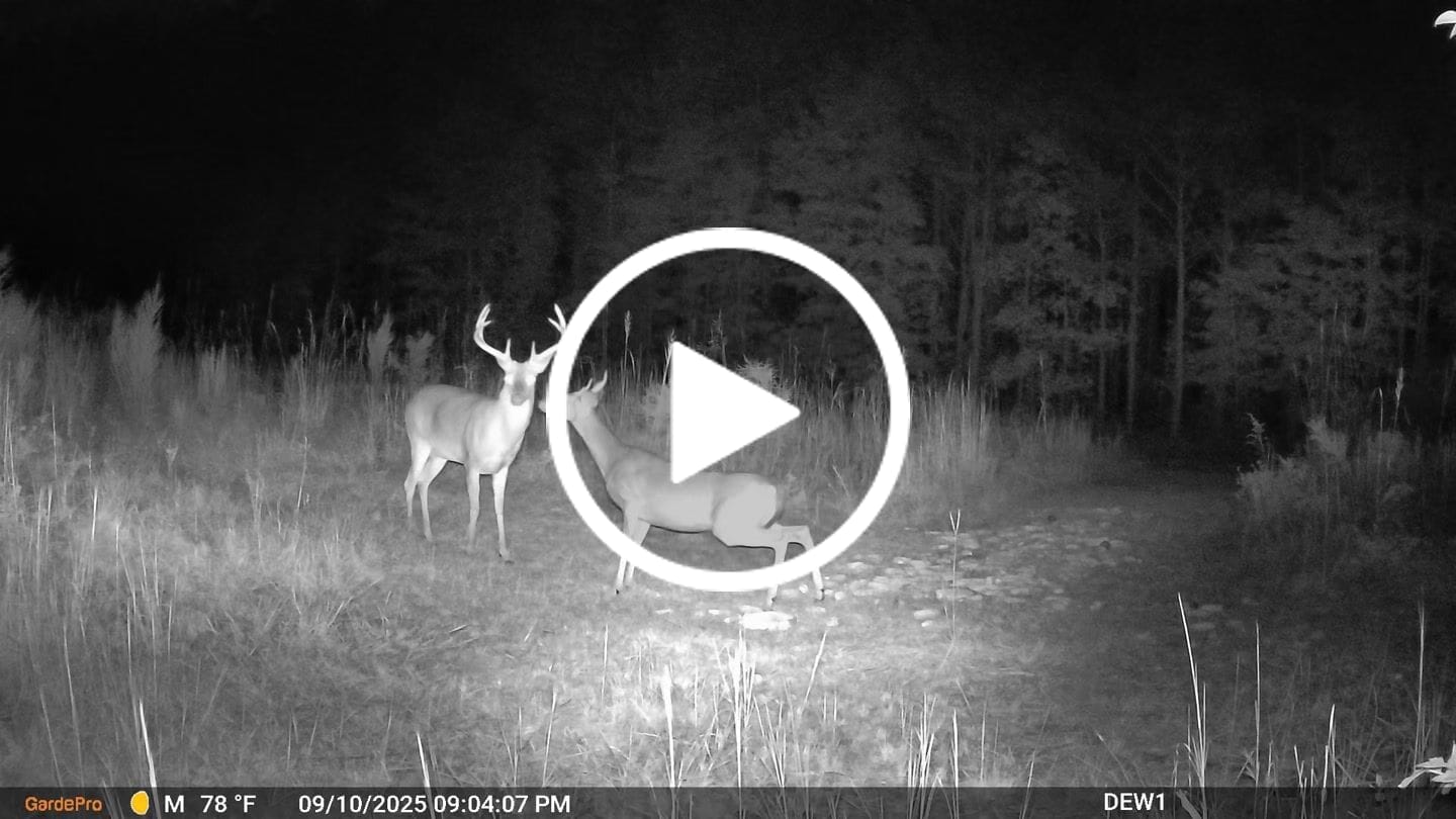Customer video review of GardePro X66 Pro Cellular Trail Camera