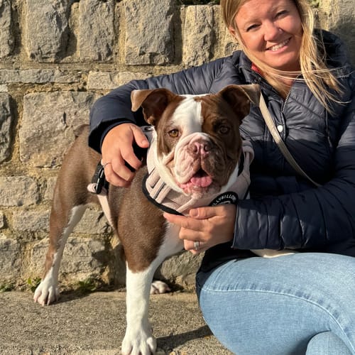 Brett R. review of Premium Comfort Herringbone Harness | Non Restrictive - Elegant Cream image 1 out of 1