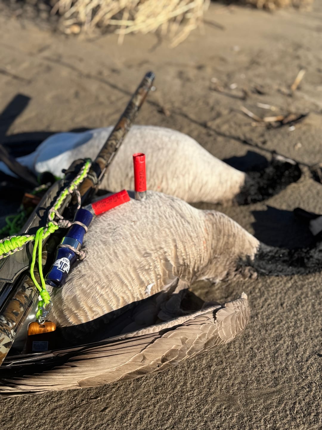 Customer photo review of Duck Call Reed Kit