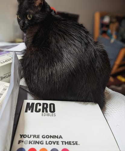 Customer photo review of MCRO Sample Box