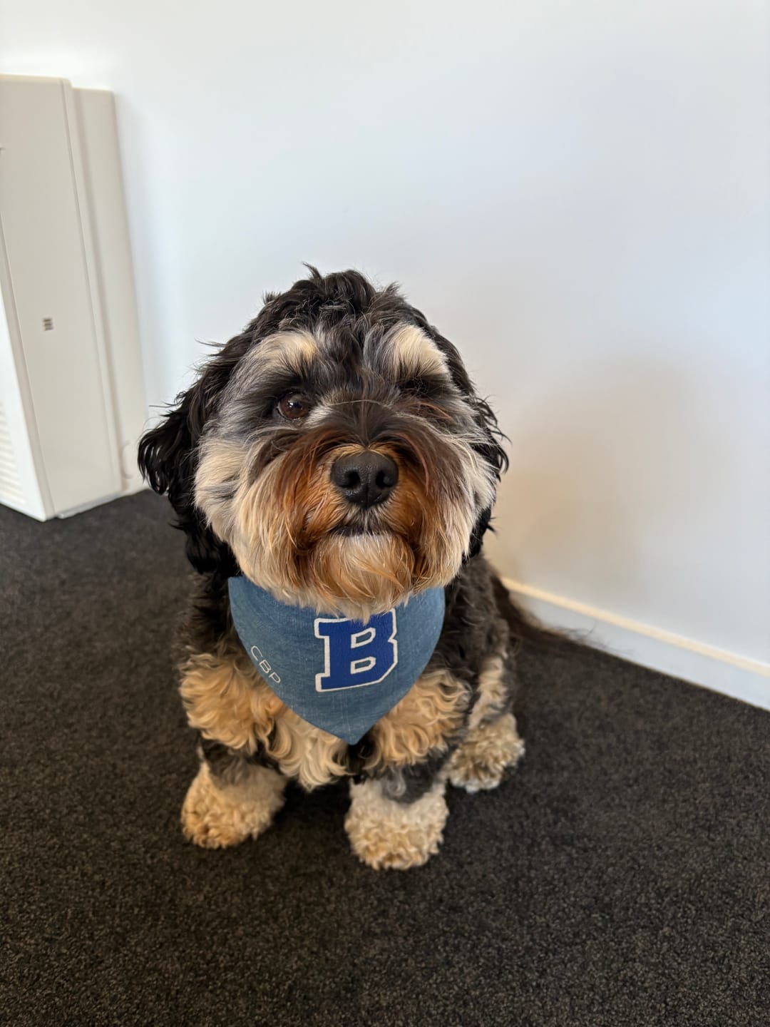 Customer photo review of Bandana - Torrance Navy