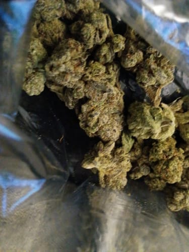 Customer photo review of Oreoz - Bulk - Indica