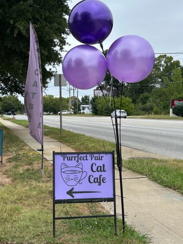 Customer photo review of Light Purple DuraBalloon®