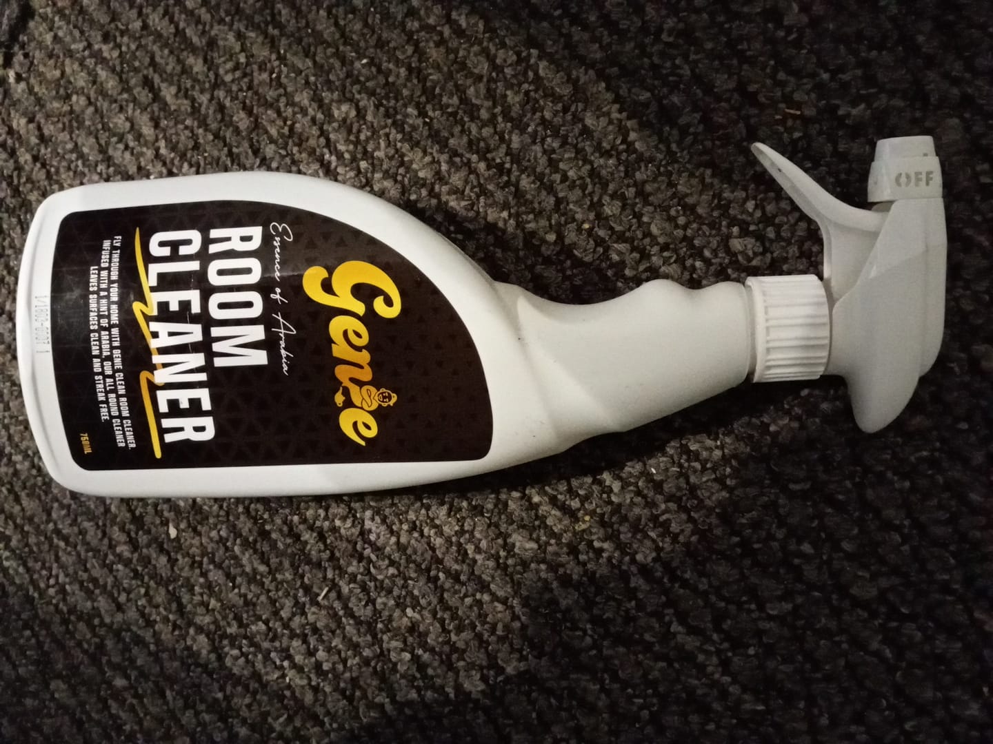 Customer photo review of Genie Room Cleaner
