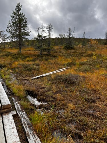 Customer photo review of Vaistoa Uoma 2 -paljasjalkavaelluskengät