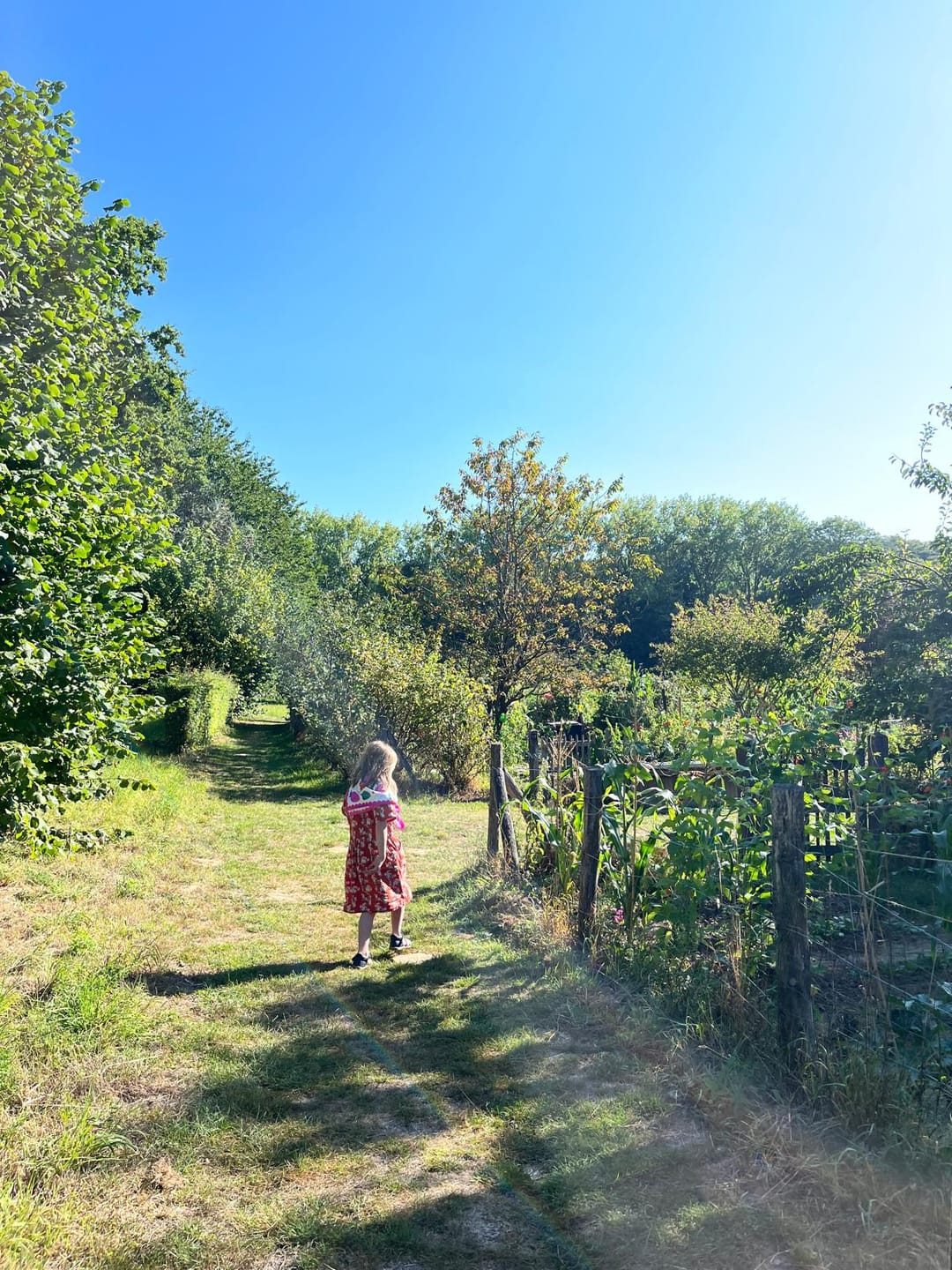 Customer photo review of Little Rabbits Button Through Short Sleeve Dress