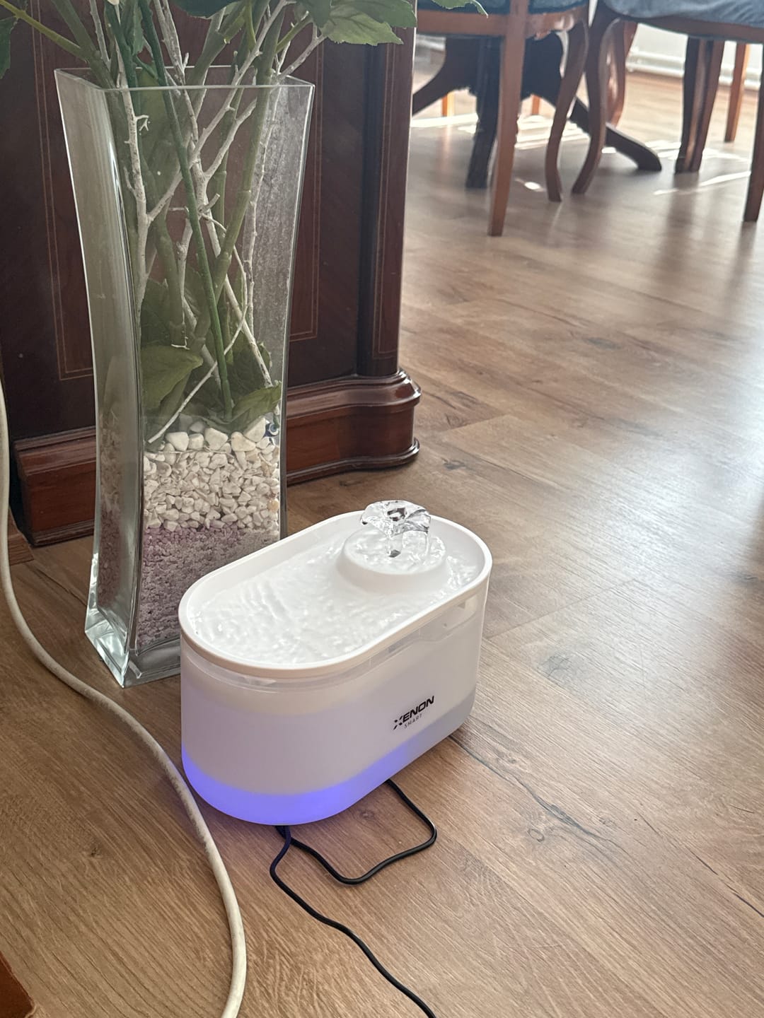 Customer photo review of Akıllı Kedi Su Pınarı Şeffaf