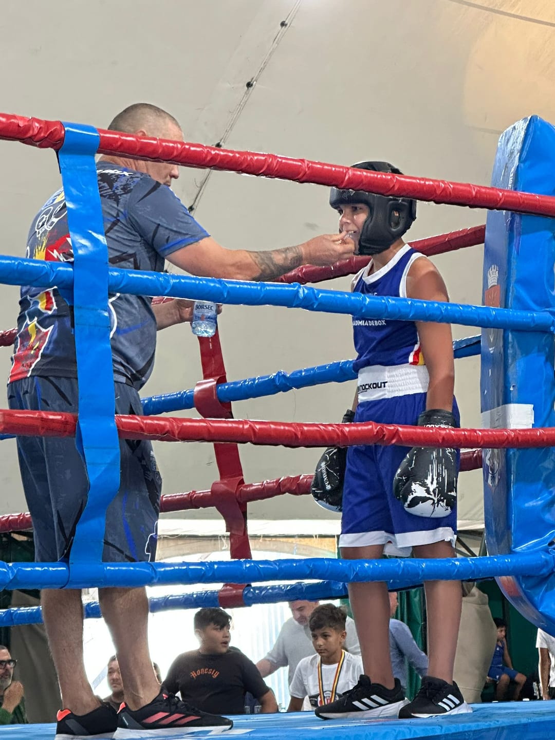 Customer photo review of Manusi Box Knockout Competition
