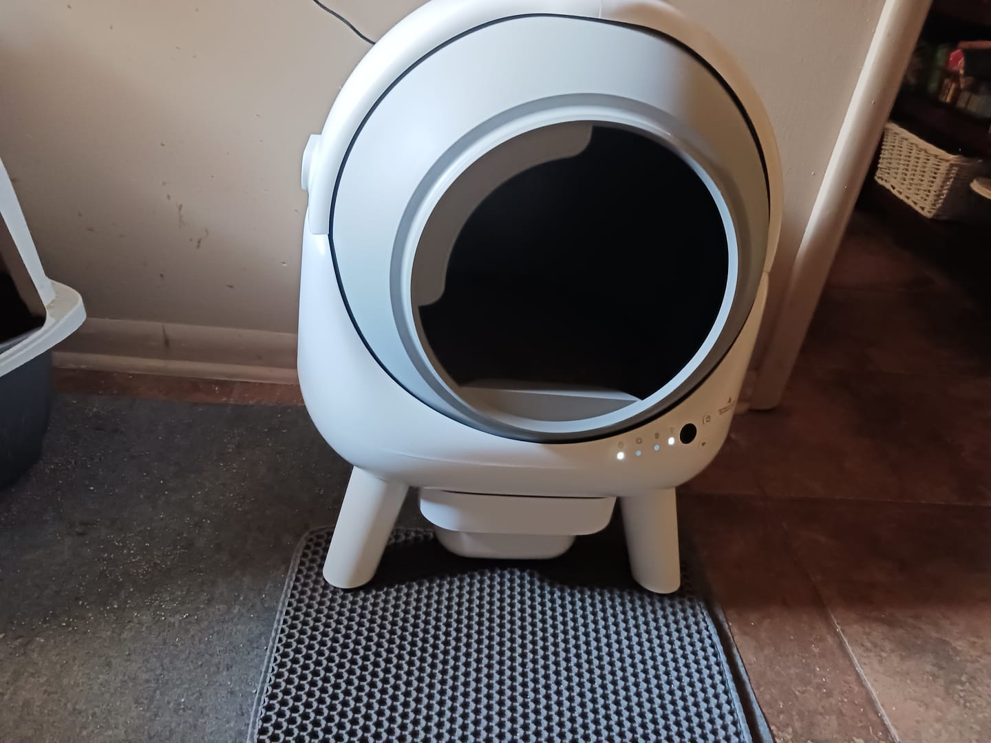 Customer photo review of [⏰Labor Day Sale] New Arrivals Els Pet Orbitie with Wide Opening Self Cleaning Litter Box for Cats