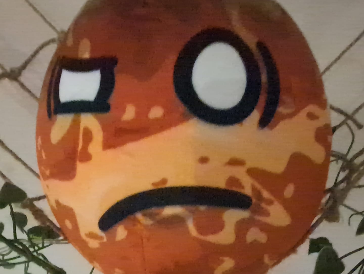 Customer photo review of The SolarBalls Venus Plush