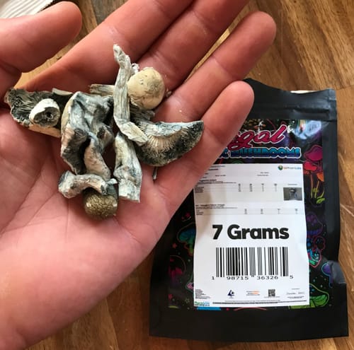 Customer photo review of Non Detect Mushrooms