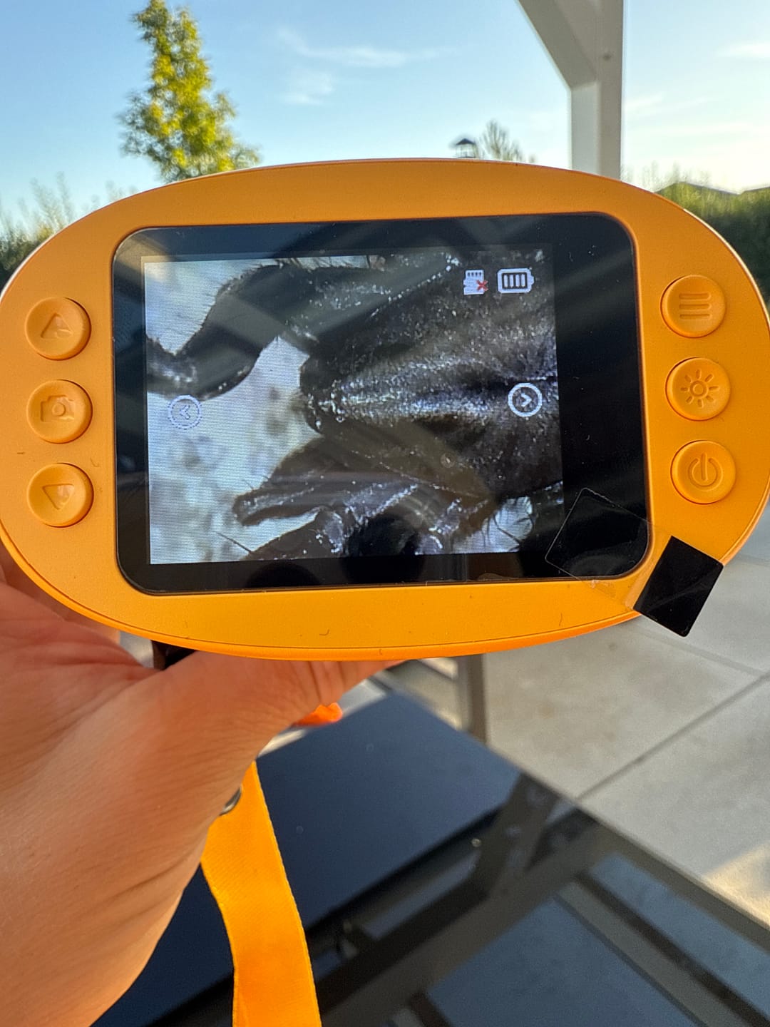 Customer photo review of Edubini Abenteuer-Mikroskop für Kinder