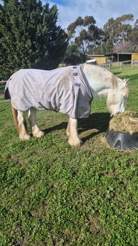 Belinda S. review of LE Boxter Turnout Ripstop 50g image 1 out of 1