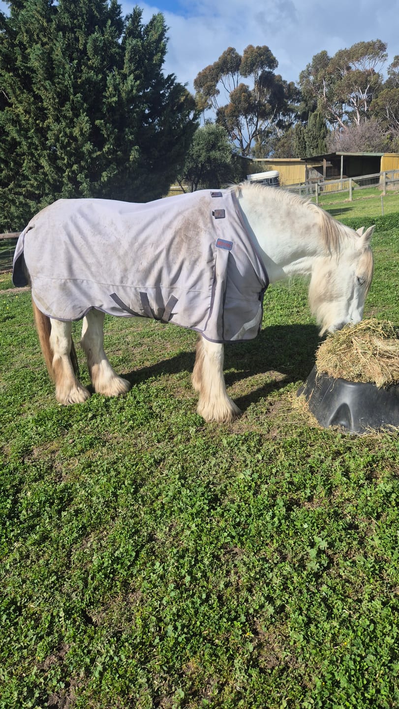 Customer photo review of LE Boxter Turnout Ripstop 50g