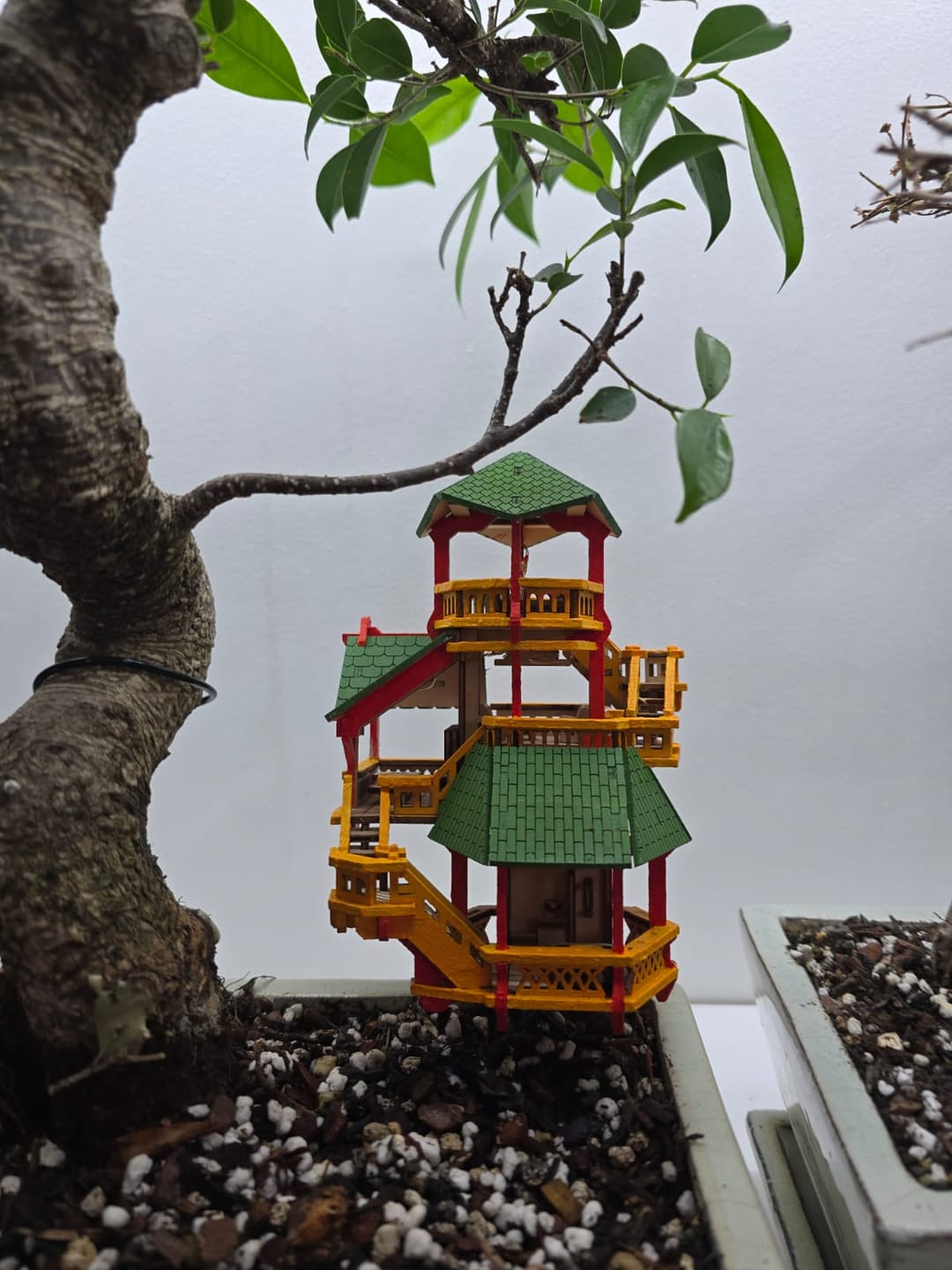 Customer photo review of Forest Cottage