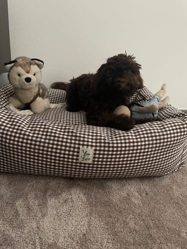 Customer photo review of Divanetto Vichy Marrone