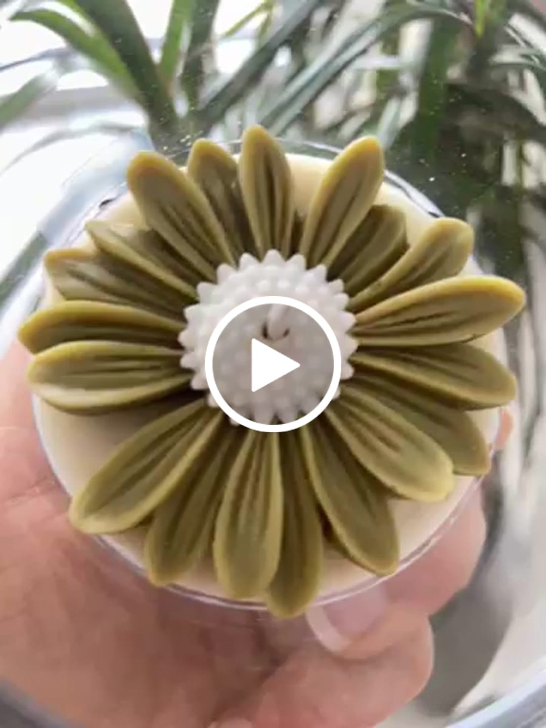 Customer video review of Fragancia ÁMBAR & SANDALWOOD