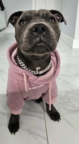 Customer photo review of Essential Dog Hoodie - Purple Taupe