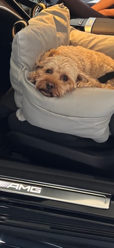 Customer photo review of Boujee Booster