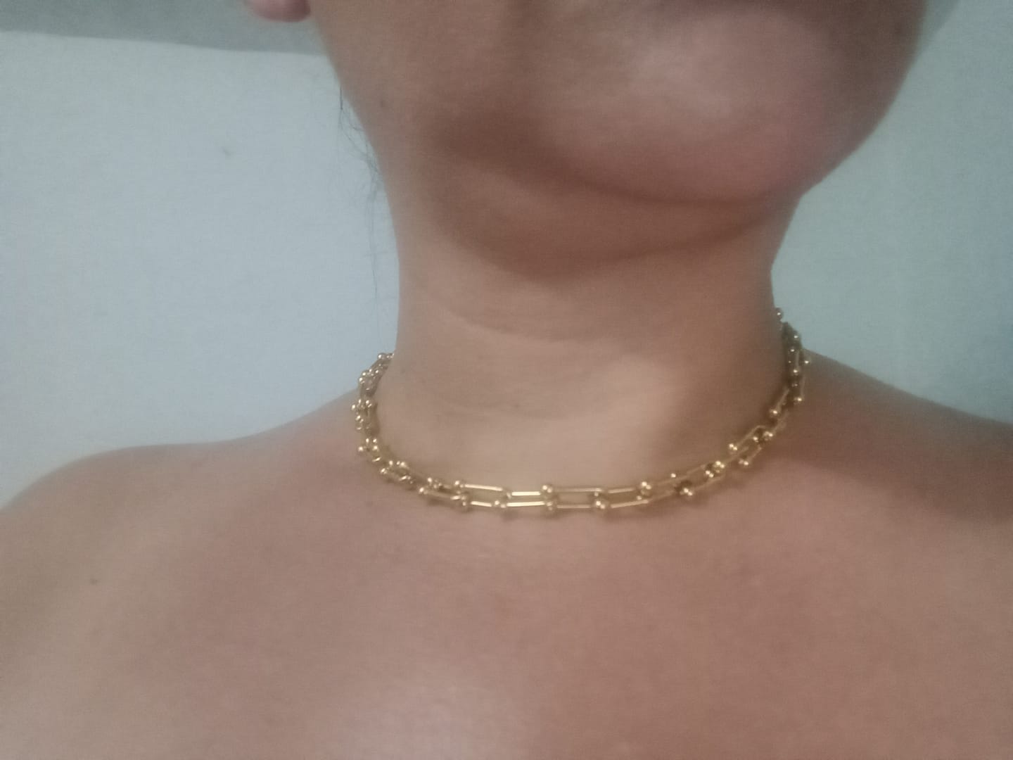 Customer photo review of Collar Tifany