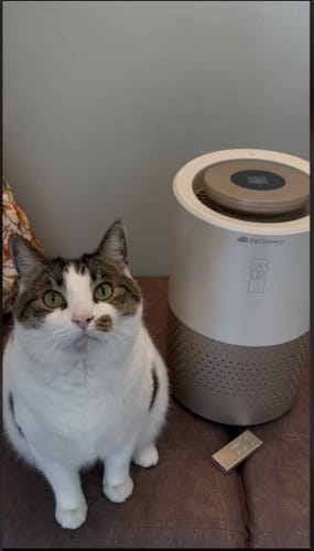 Customer photo review of Pet Air Purifier