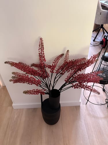 Customer photo review of Vaas Certalo 43x18cm Zwart