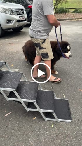 Customer video review of Foldable Aluminum Pet Steps