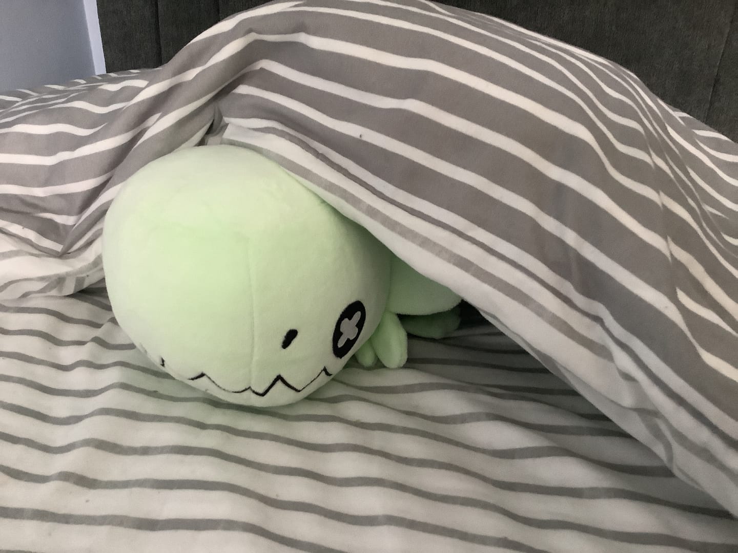 Customer photo review of Rain World - Glowing Green Lizard Plush