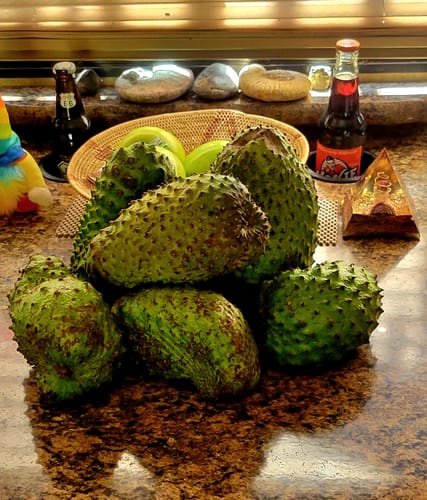 Customer photo review of Unripe Soursop (Guanabana) For Cooking