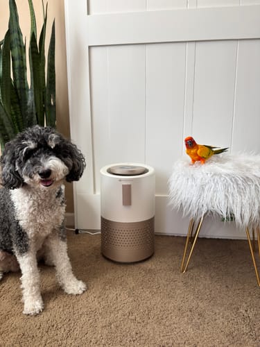 Customer photo review of Pet Air Purifier